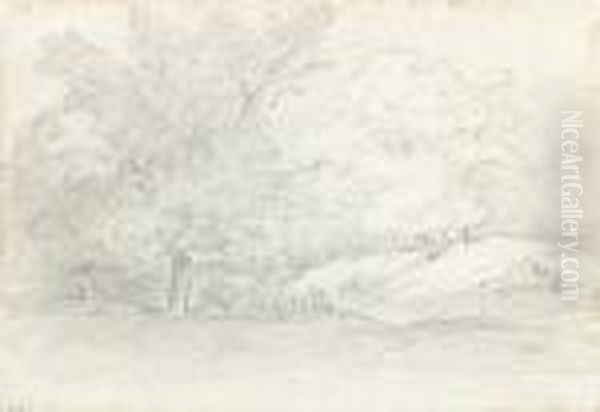 Etude De Paysage Boise - view 1