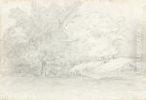Etude De Paysage Boise by Theodore Rousseau