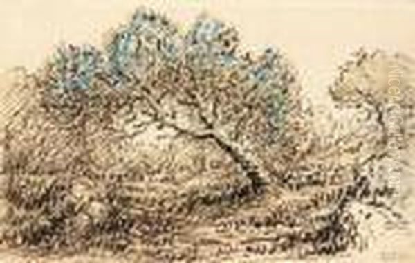 Paysage - view 1