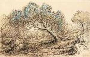 Paysage by Theodore Rousseau
