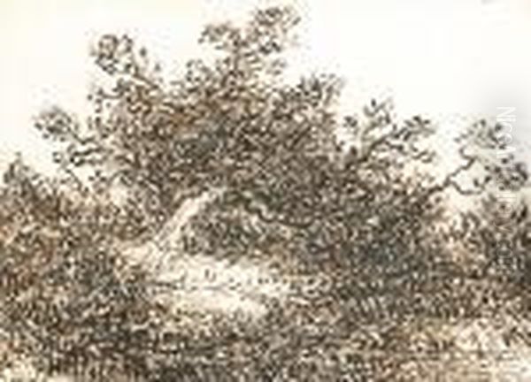 Paysage - view 1