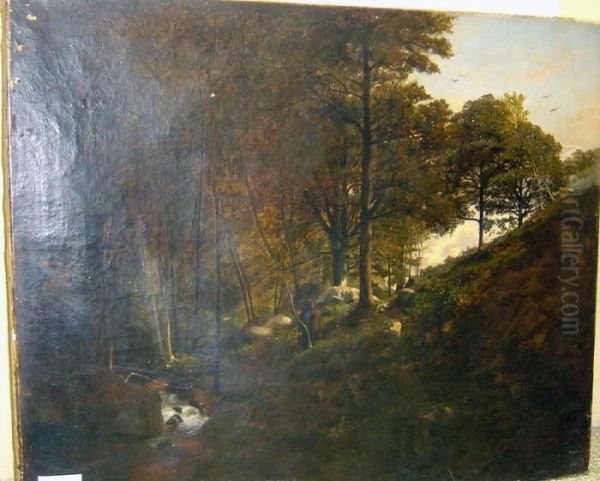 Paysage De Foret. - view 1