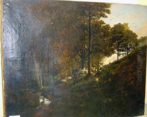 Paysage De Foret.