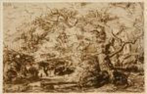 Forest Clearing