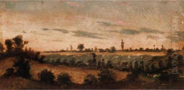 Evening Landscape - view 1