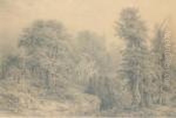 Un Paysage Forestier Avec Des Rochers - view 1