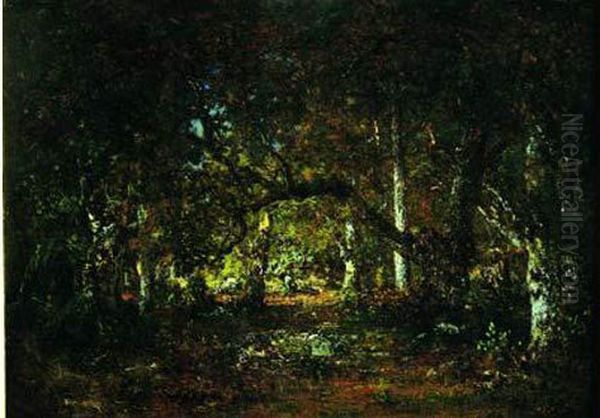Interieur De Foret : Coup De Soleil - view 1