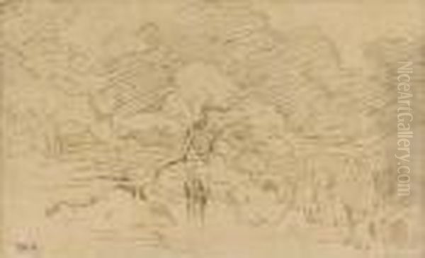 A Donkey At A Watering Hole - view 1