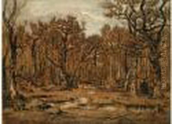 La Mare Aux Fees En Foret De Fontainebleau - view 1