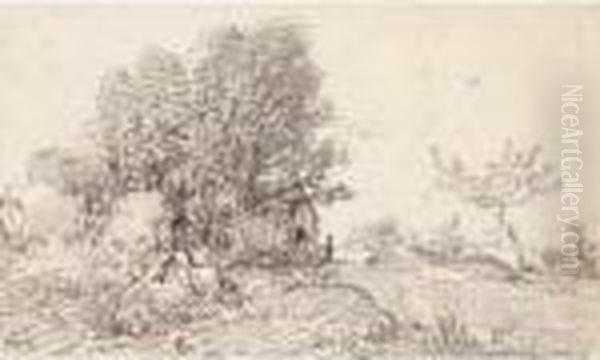Paysage Rocheux - view 1