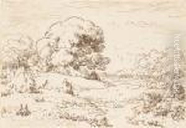An Extensive Landscape With A Large Tree - view 1