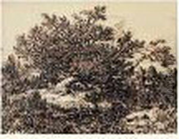 Paysage - view 1