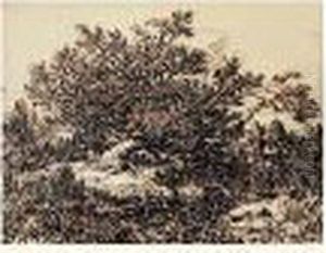 Paysage