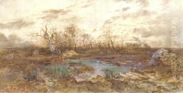 La Mare Aux Fees, Foret De Fontainebleau - view 1