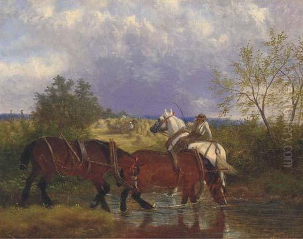 Work Horses Drinking From A Brook - view 1