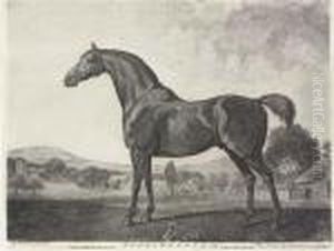 Sweetwilliam by George Stubbs