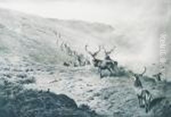 Deer Andgrouse Above A Glen - view 1