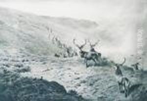 Deer Andgrouse Above A Glen