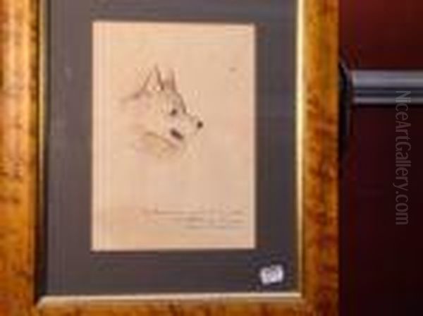 Study Ofa Dogs Head - view 1