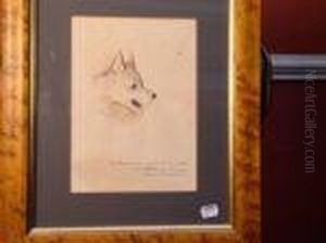 Study Ofa Dogs Head by Louis Wain