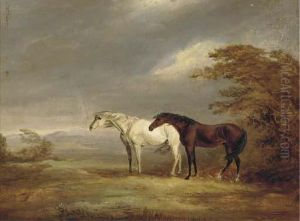 A Chestnut And Grey In A Windy Landscape