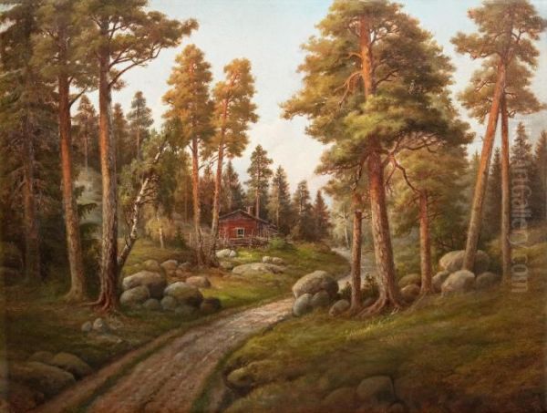 Midsummer At Uusimaa - view 1