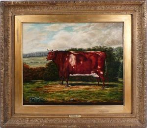 Four Year Old Shorthorn Heifer by Thomas Alder