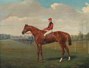 Le Crack Et Le Jockey Sur Le Champ De Course