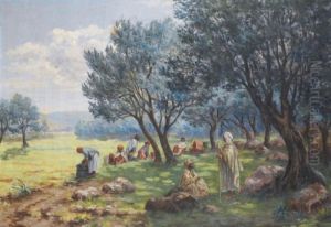 Femmes A La Cueillette Des Olives