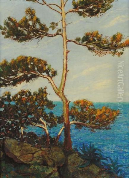 Alberi Sul Mare - view 1