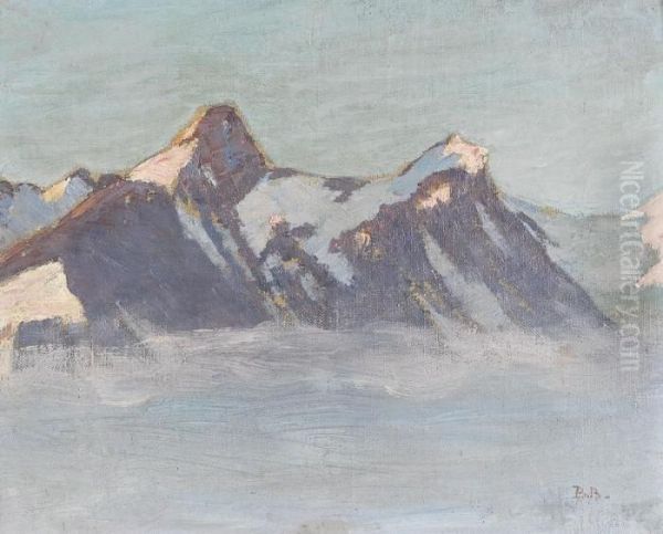 Schweizer Berglandschaft - view 1
