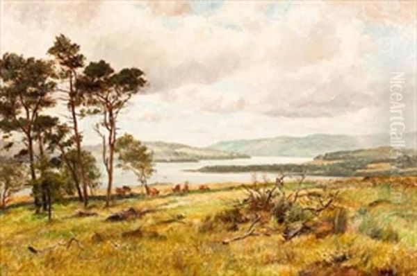 Near Ardile, Loch Lomond - view 1
