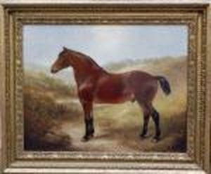 Study Of Chesnut Brown Hunter In A Landscape Study Of Chesnut Brown Hunter In A Landscape