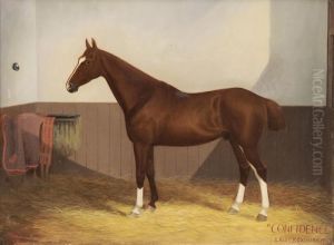 Confidence, Lady Roxburgh, Horse In A Loose Box