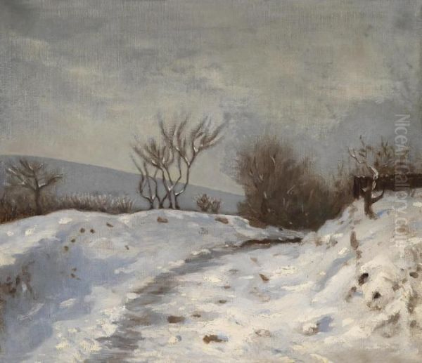 Winter Landscape - view 1