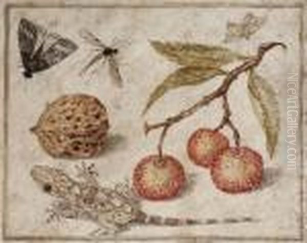 Miniatura Con Corbezzoli, Ramarro, Noce E Insetti - view 1