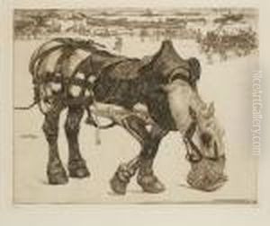 Le Sac D'avoine, Ou L'outillage by Pieter Dupont
