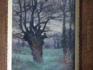 Forest Scene Forest Scene