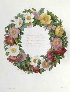 Christmas Roses by Pierre-Joseph Redoute