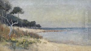 Ricketts Point, Near Sandringham by Jessie Benton Evans