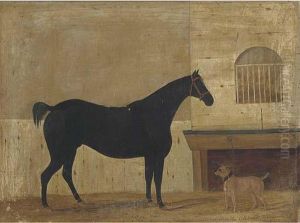 Bob, A Dapple Grey Saddled Hack With Tear On, A Terrier Bob, A Dapple Grey Saddled Hack With Tear On, A Terrier