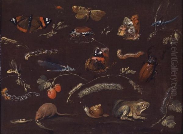 A Study Of Various Small Animals And Insects - view 1