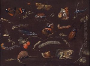 A Study Of Various Small Animals And Insects by Dietrich Findorff