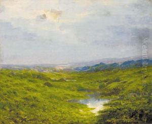 A Marshland Landscape With Mountains Beyond