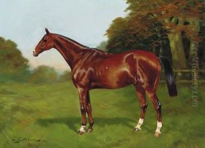 Mon Prince A Chestnut Hunter In A Paddock