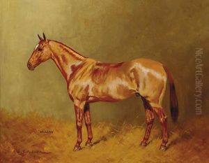 Galleon, A Light Bay Hunter