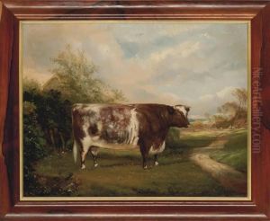 A Short-horn Bull In A Landscape by Maxim Gauci