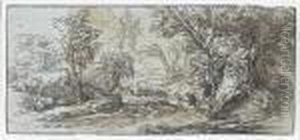 A Path Through A Wooded Landscape - view 1