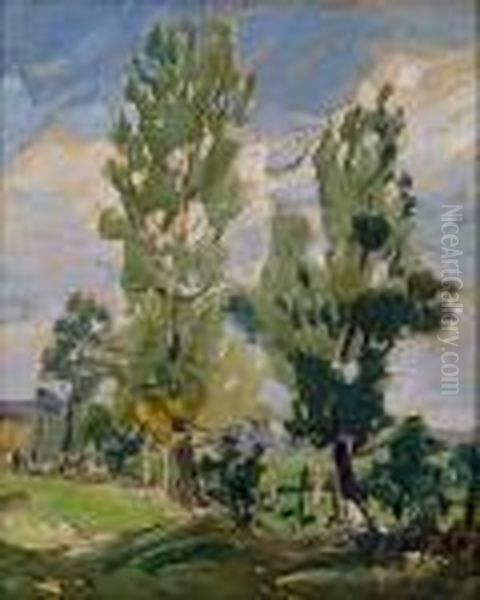Weite Sommerlandschaft - view 1