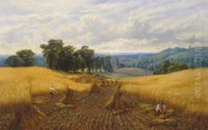 A Cornfield From Nature